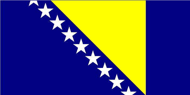 373346-20040724002258_bosnia_flag_large.png