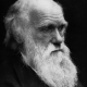 evantishuk