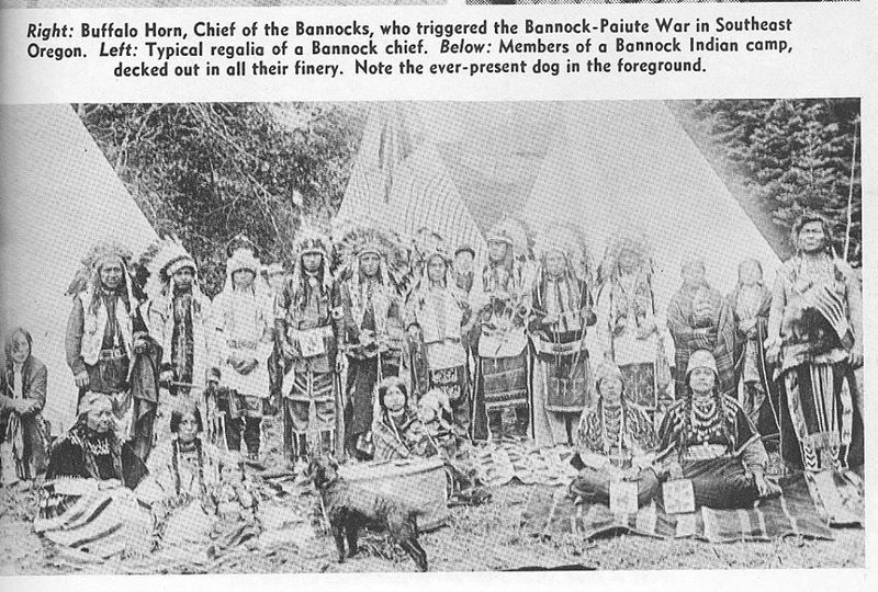 Bannock Camp