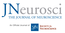 Journal of Neuroscience Journal of Neuroscience