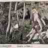 Reinhold Max Eichler, dessin pour Siegfried Reinhold Max Eichler, dessin pour Siegfried