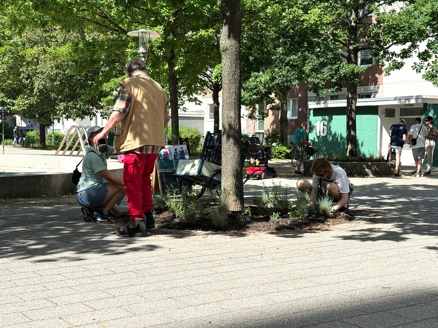Im Schatten der Bäume bepflanzen Menschen gemeinsam eine Baumscheibe, im Hintergrund unterhalten sich Passanten.