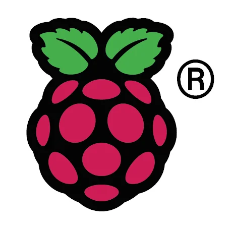 RASPBERRY PI