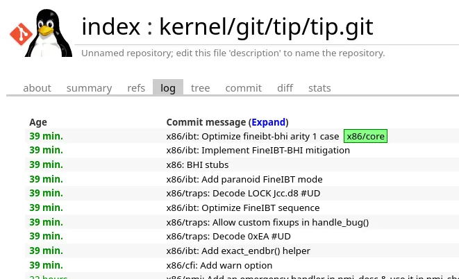 FineIBT-BHI in tip/tip.git