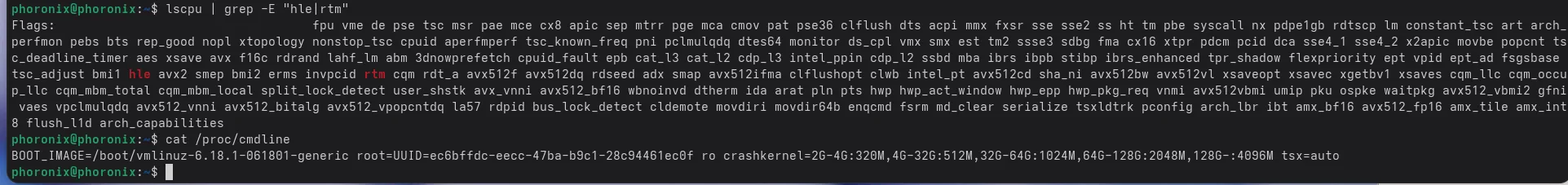 Intel TSX auto