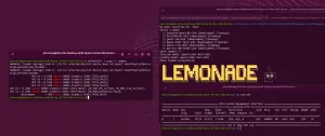 AMD ROCm vs. Vulkan Performance For Lemonade Local AI Server With Llama.cpp