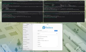 OpenJDK vs. GraalVM vs. Eclipse Temurin vs. Semeru Java Performance