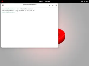 Red Hat Announces No-Cost RHEL For Business Developers