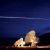 Columbia streaking over the Very Large Array radio telescope in Socorro, New Mexico (Credits: NASA).