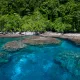 A fringing coral reef in the Solomon Islands
