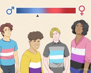 Demiboy Quiz